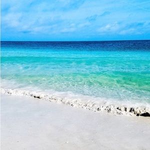 CLOSET 💜 CLOSEOUT!